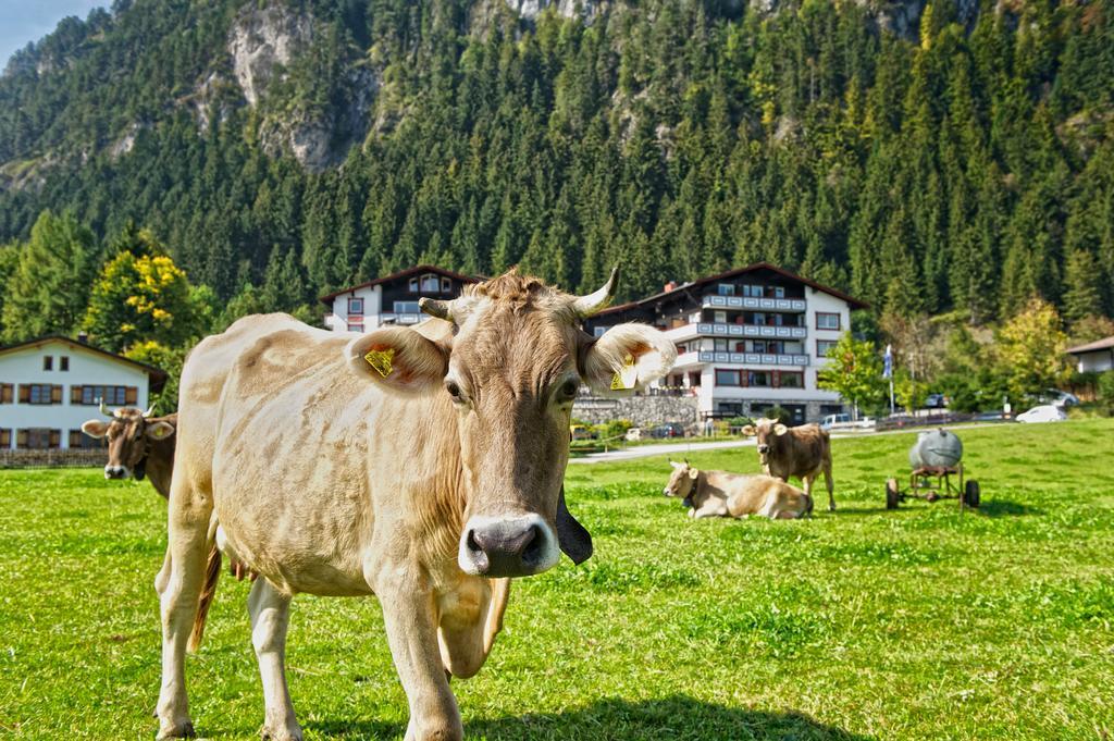 Familotel Bavaria Pfronten-Familien Hotel-Alles Inklusive Konzept 외부 사진